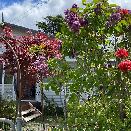 Cheerful Mountain Cottage, 'Lynette' Katoomba Exterior photo